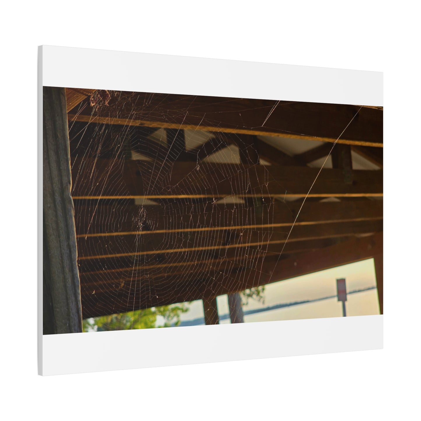 Nature's Golden Lacework