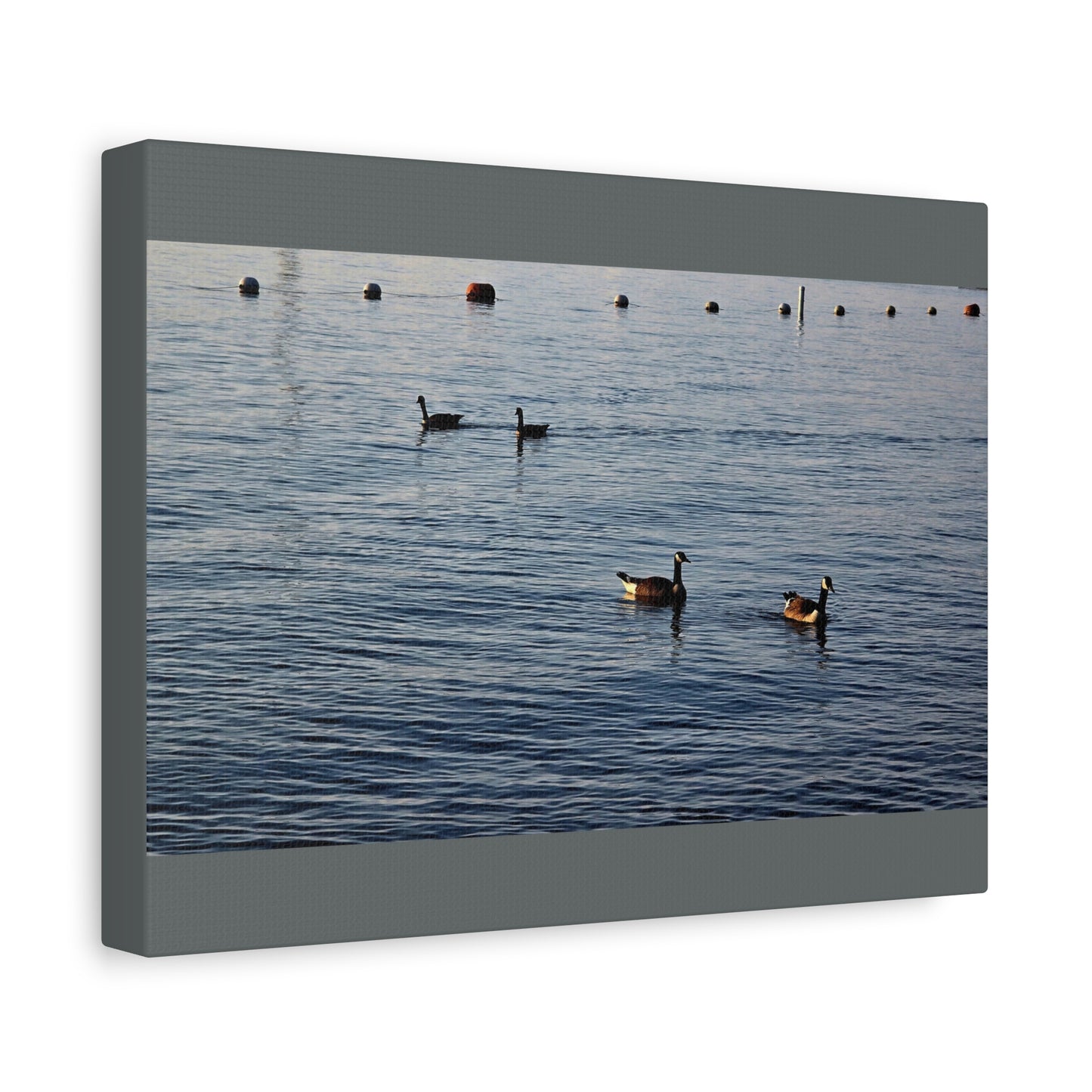 Geese at Peace Home Décor