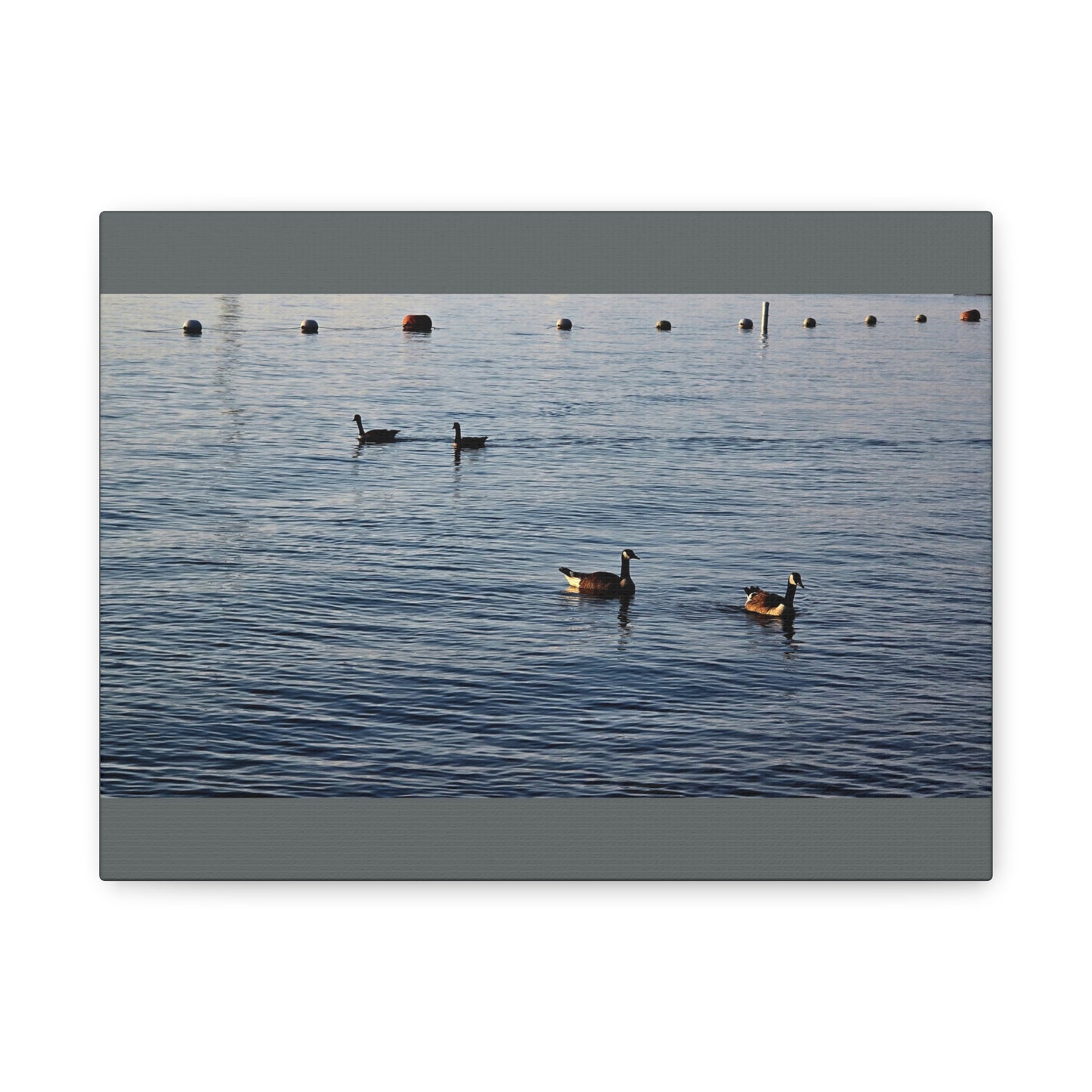 Geese at Peace Home Décor