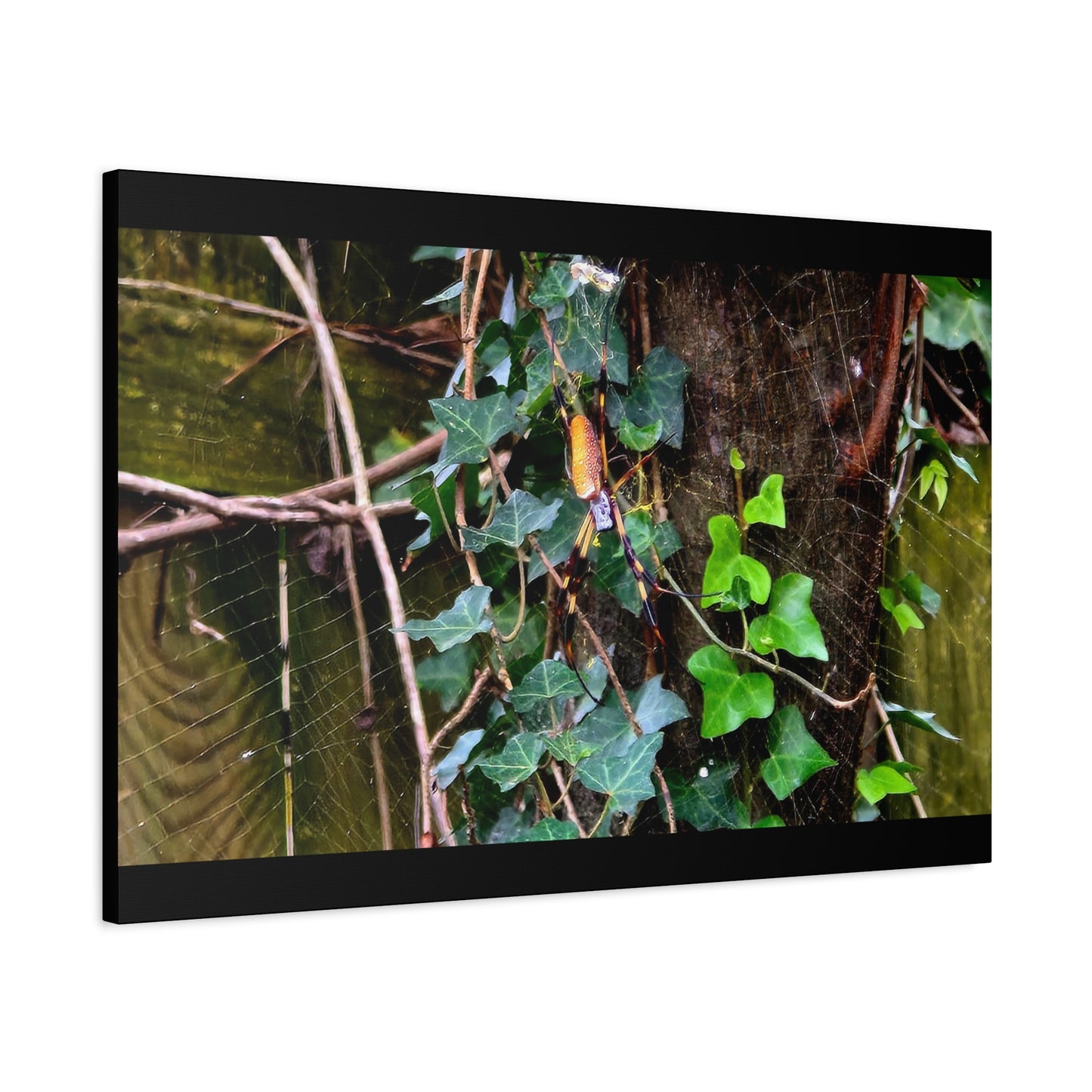 The Patient Huntress