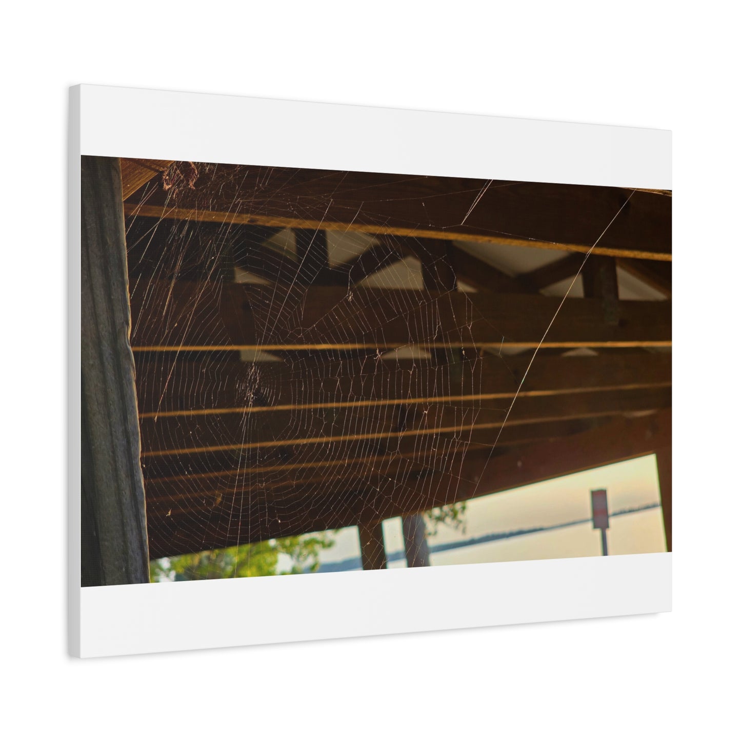 Nature's Golden Lacework