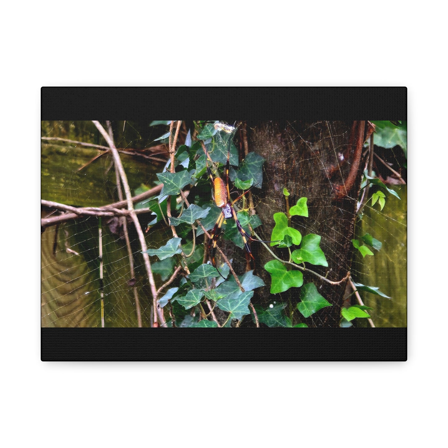 The Patient Huntress