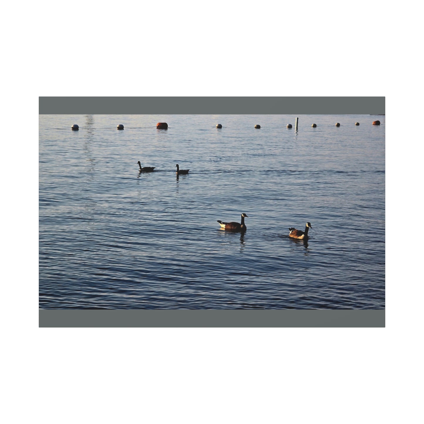 Geese at Peace Home Décor