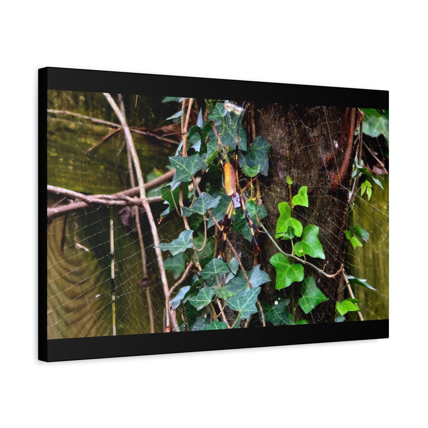 The Patient Huntress