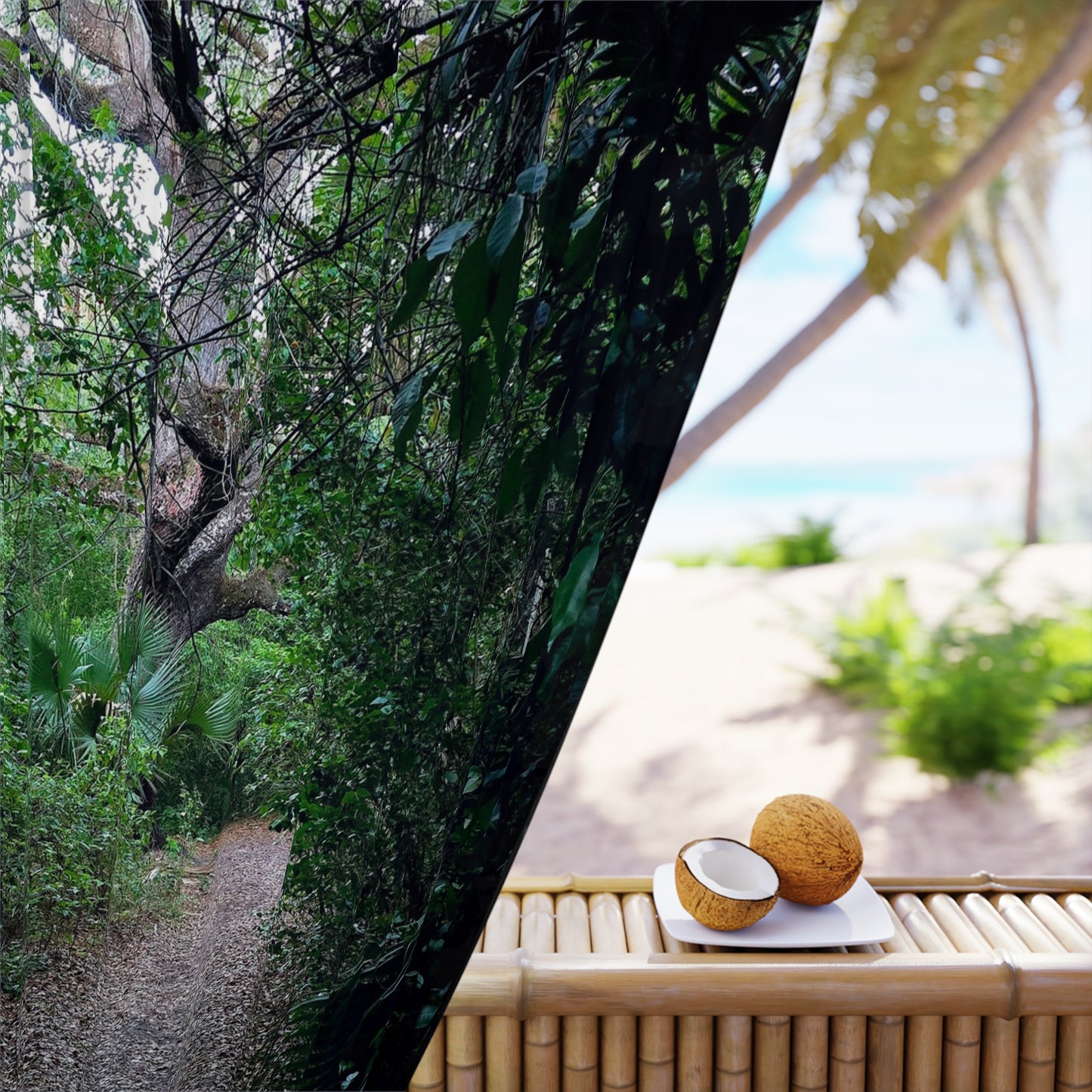 Haunted Passage Window Curtains