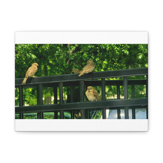 The Morning Meeting