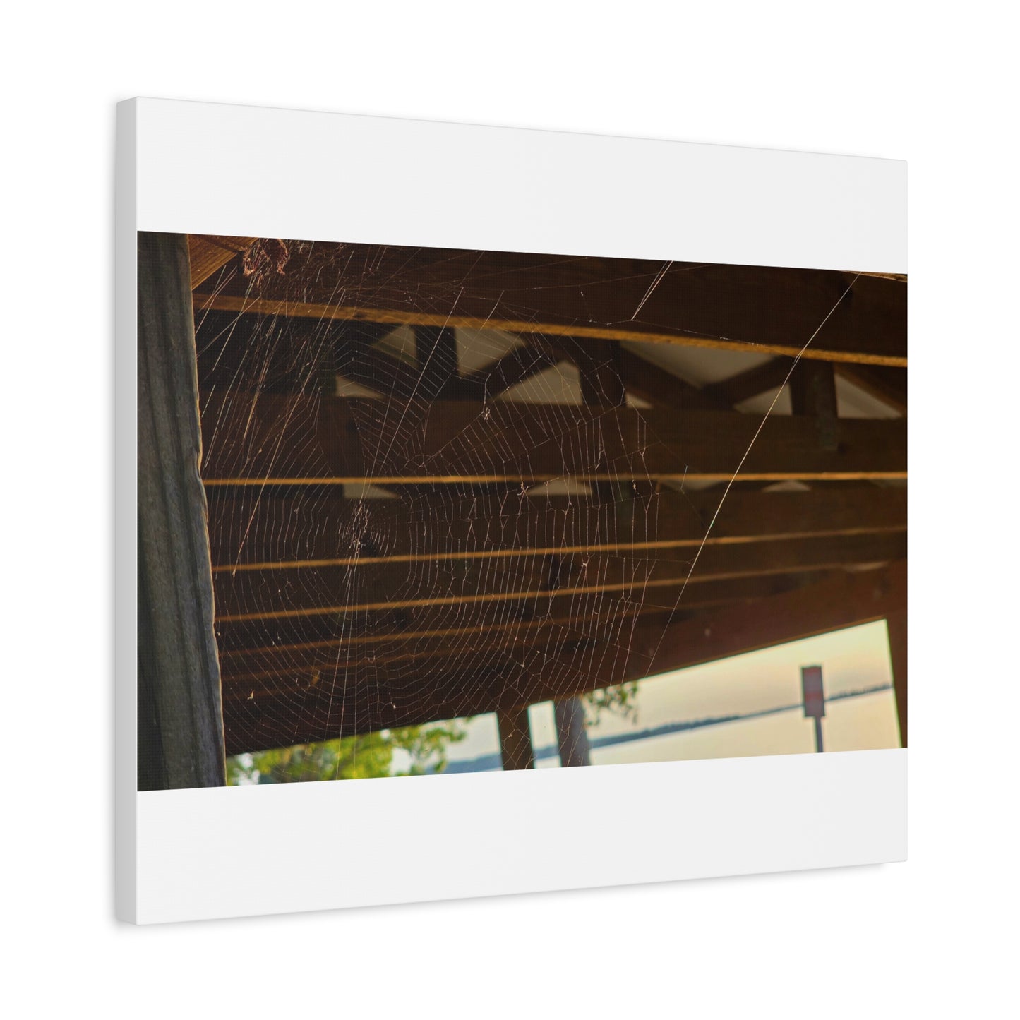 Nature's Golden Lacework