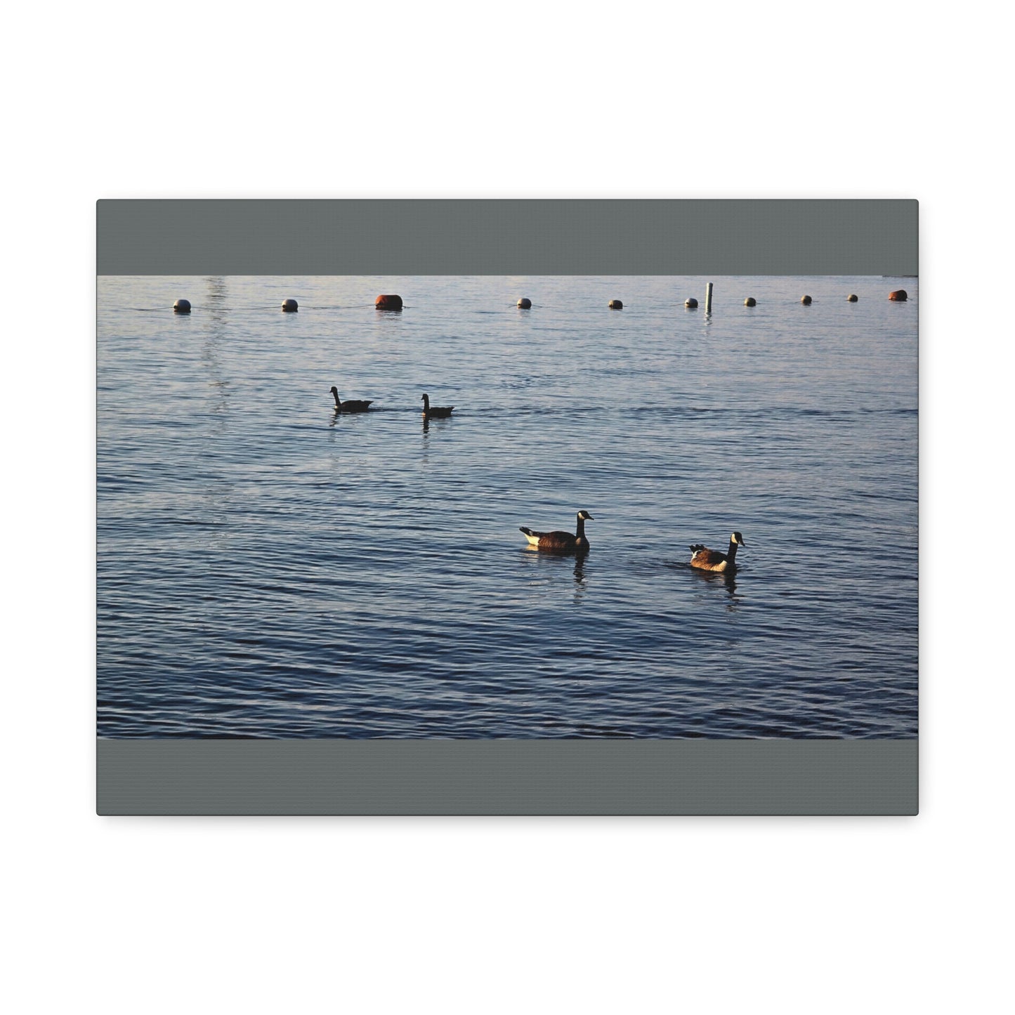 Geese at Peace Home Décor