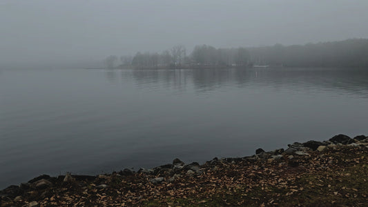 40 seconds of Creepy Lake Scene Video