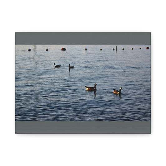 Geese at Peace Home Décor