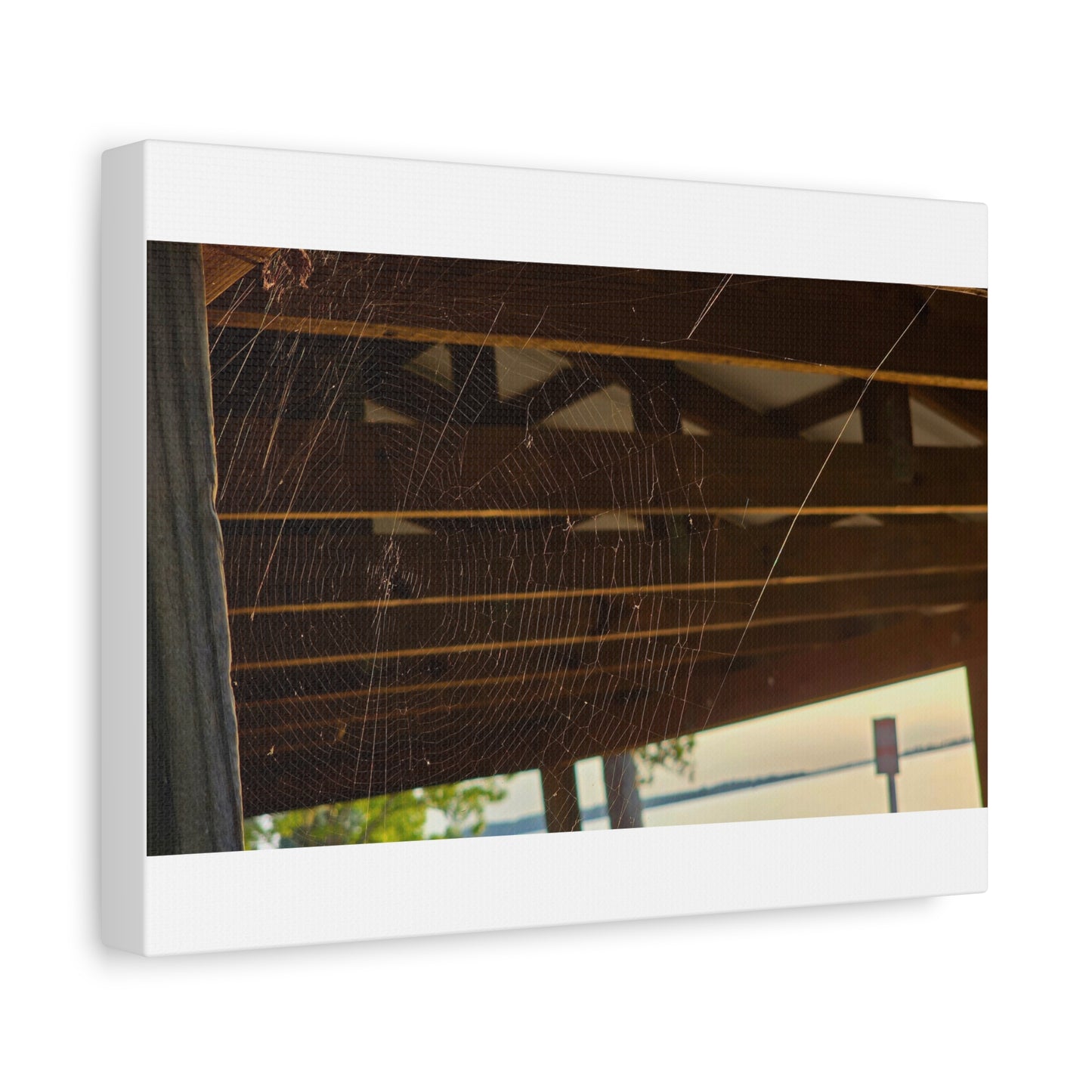 Nature's Golden Lacework