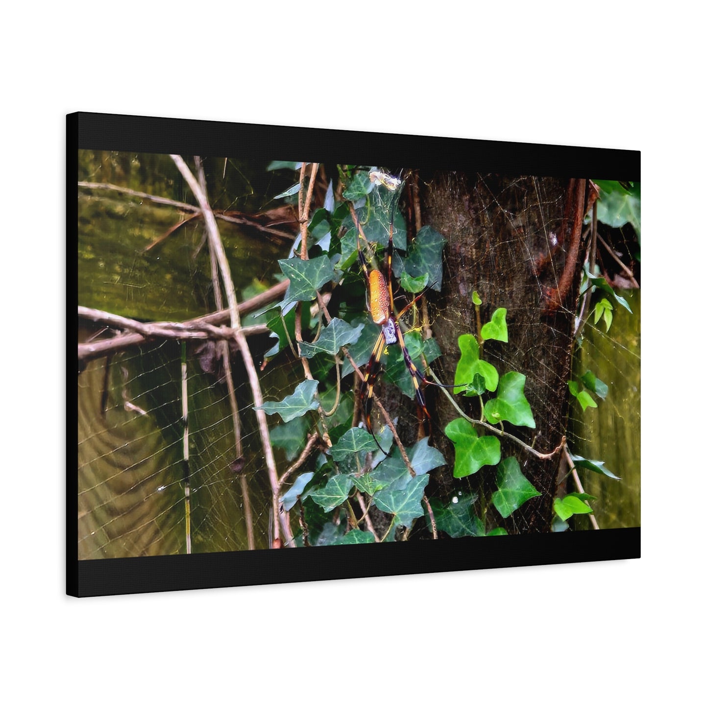 The Patient Huntress