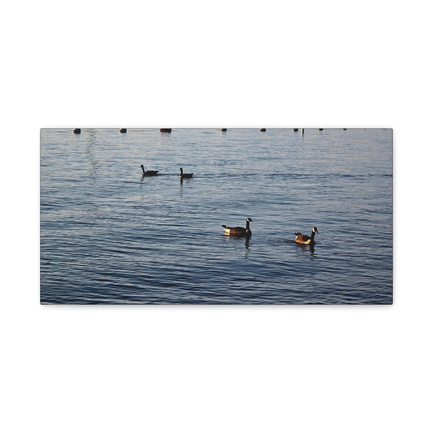 Geese at Peace Home Décor