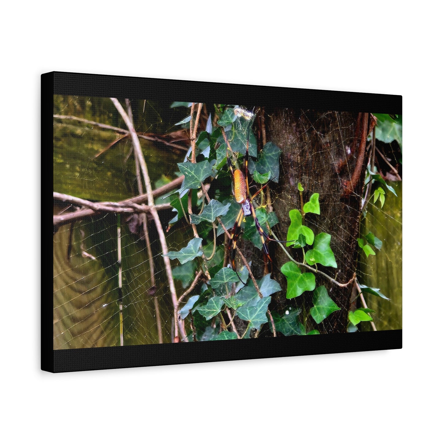 The Patient Huntress