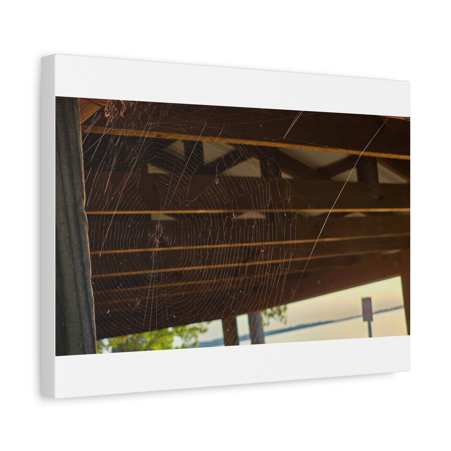 Nature's Golden Lacework