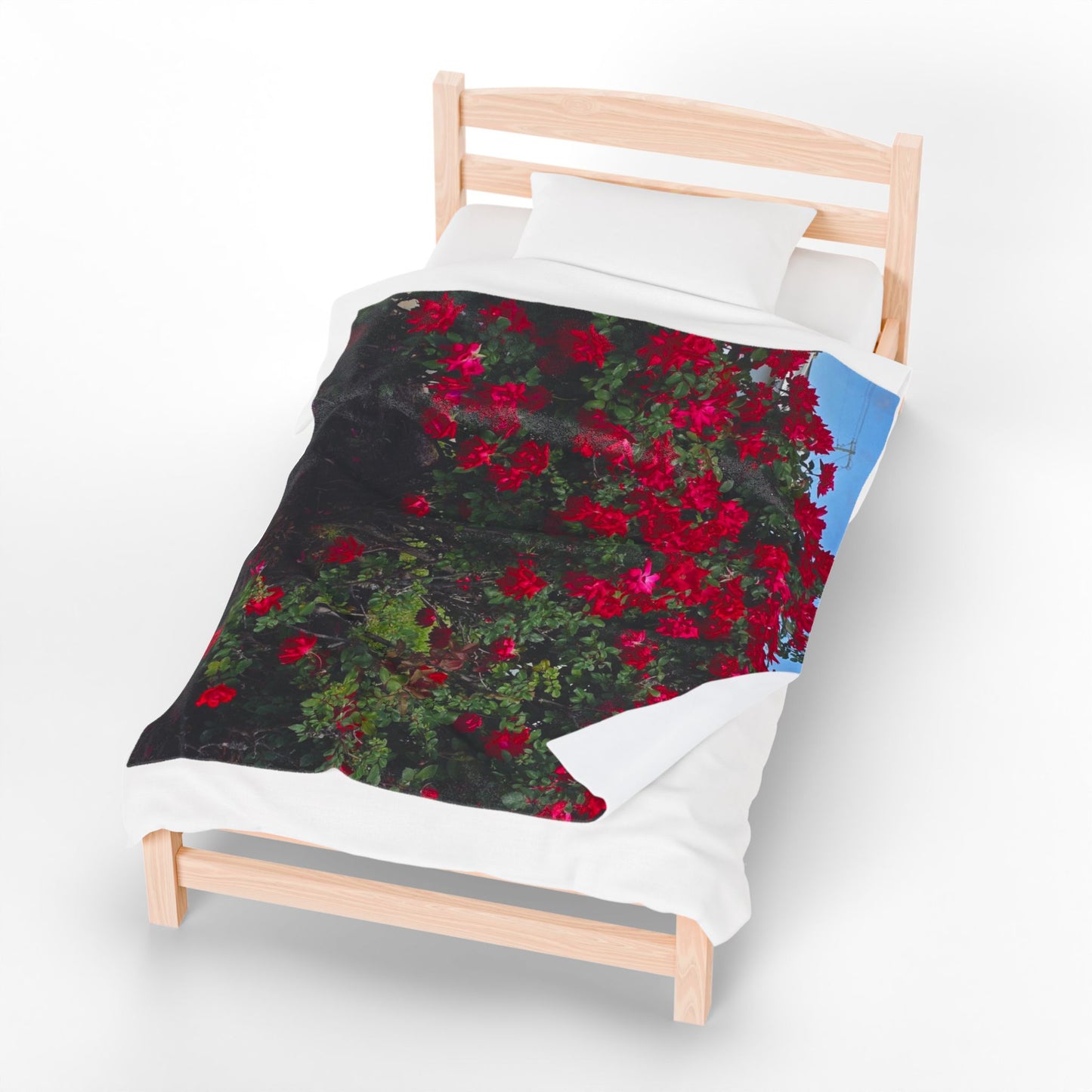 South Carolina Roses Velveteen Plush Blanket for Cozy Evenings