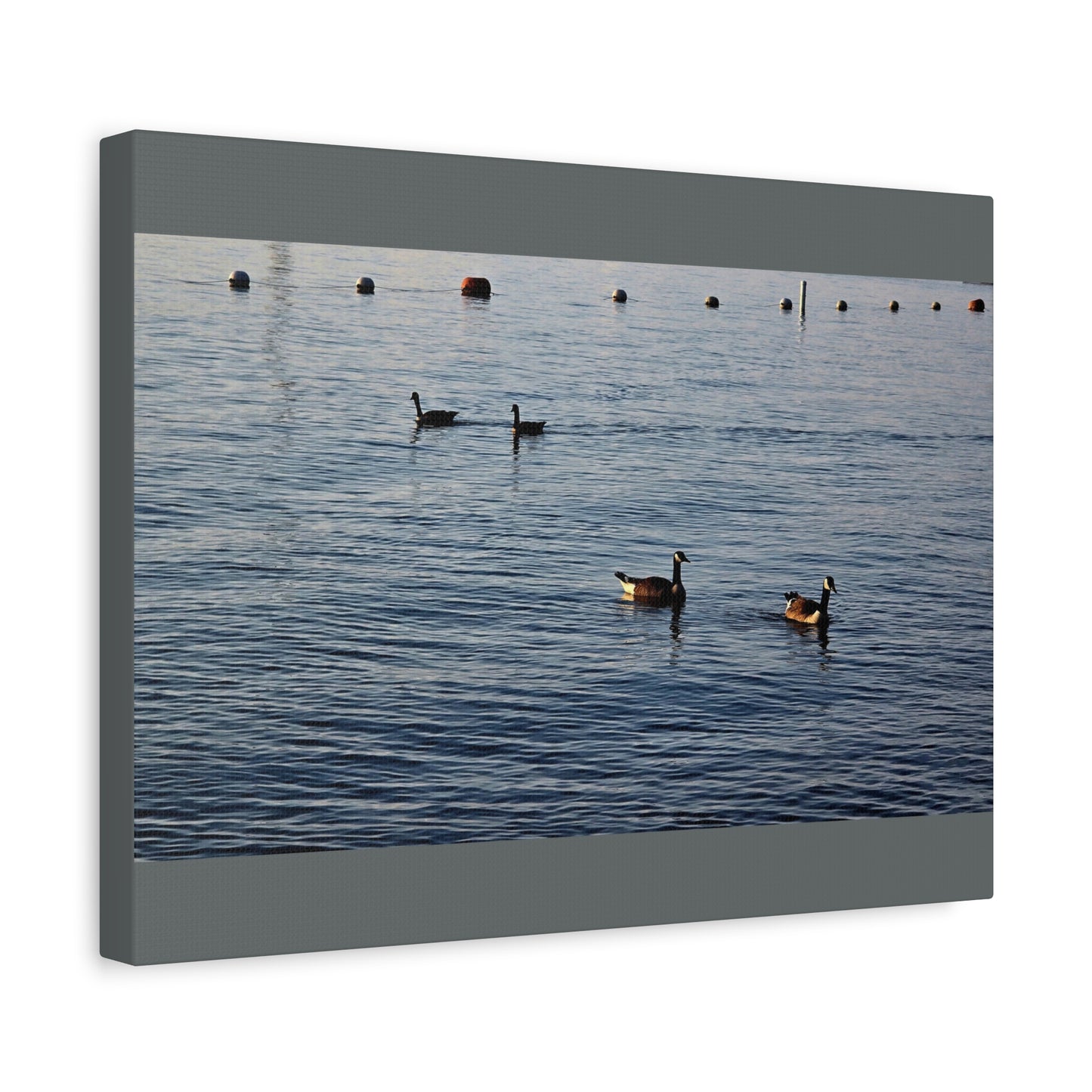 Geese at Peace Home Décor