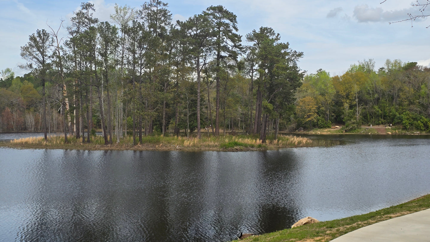 Photo of Old Pond-Digital Image