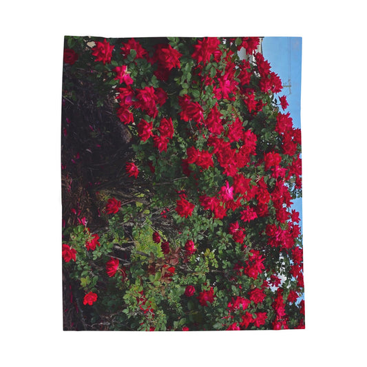 South Carolina Roses Velveteen Plush Blanket for Cozy Evenings