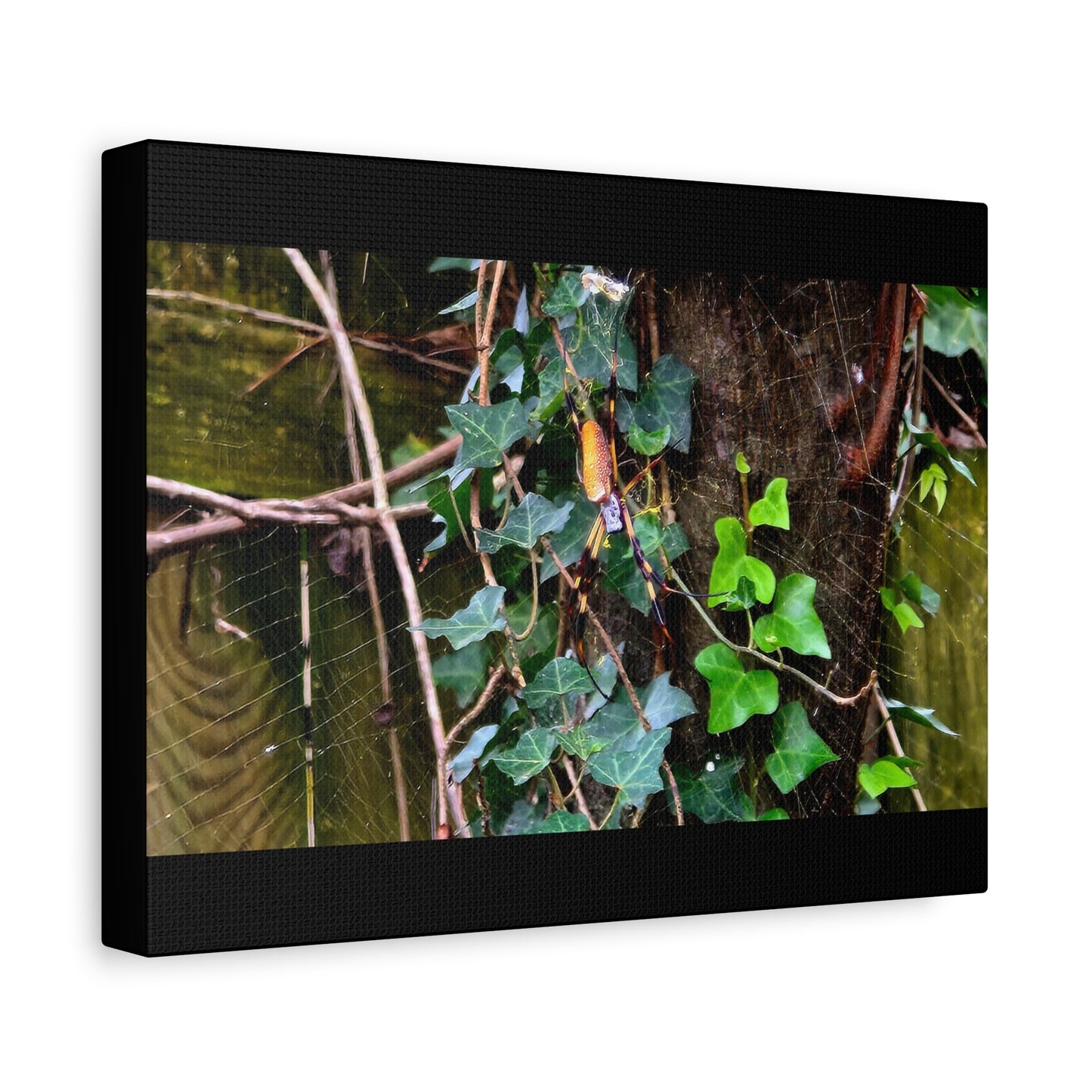 The Patient Huntress