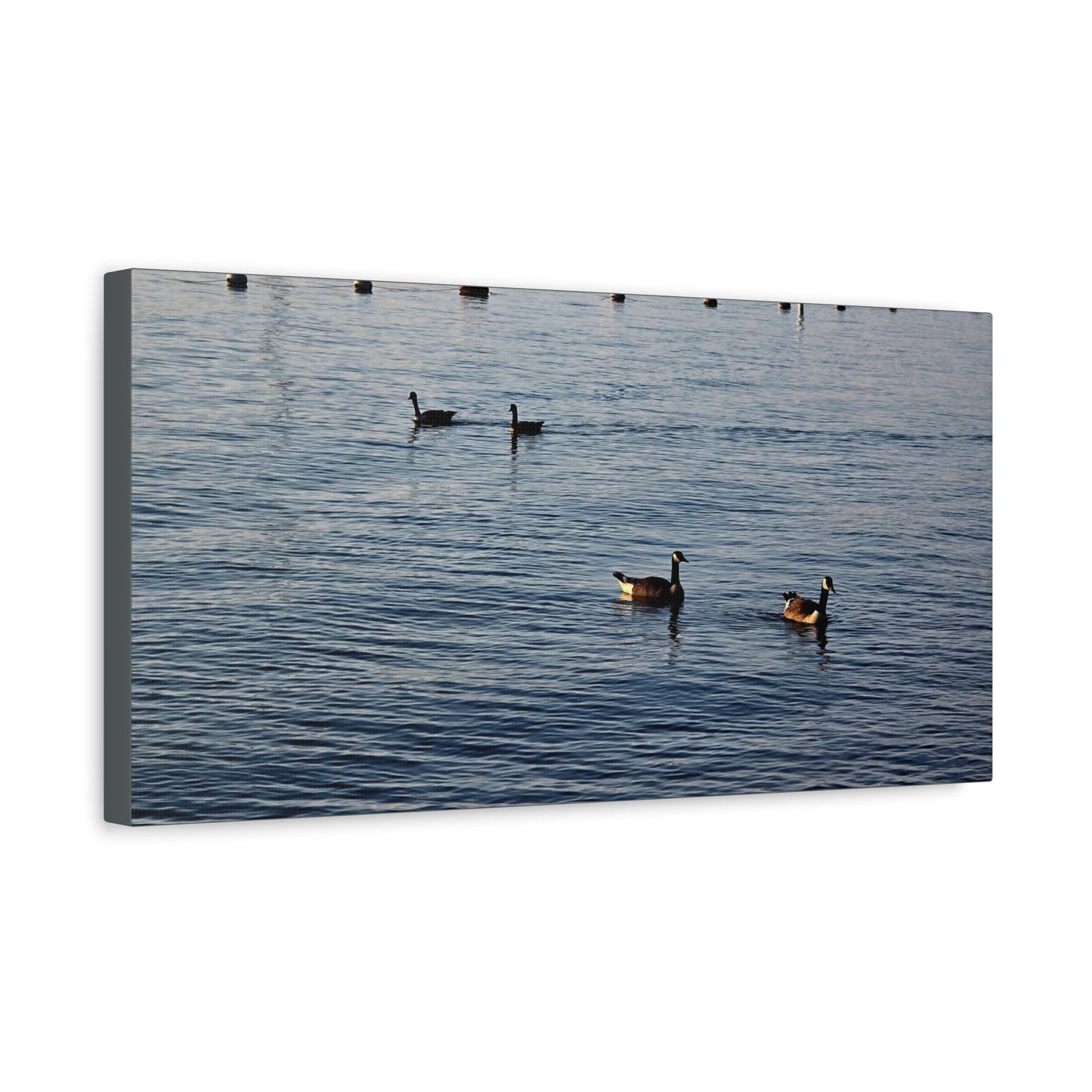 Geese at Peace Home Décor