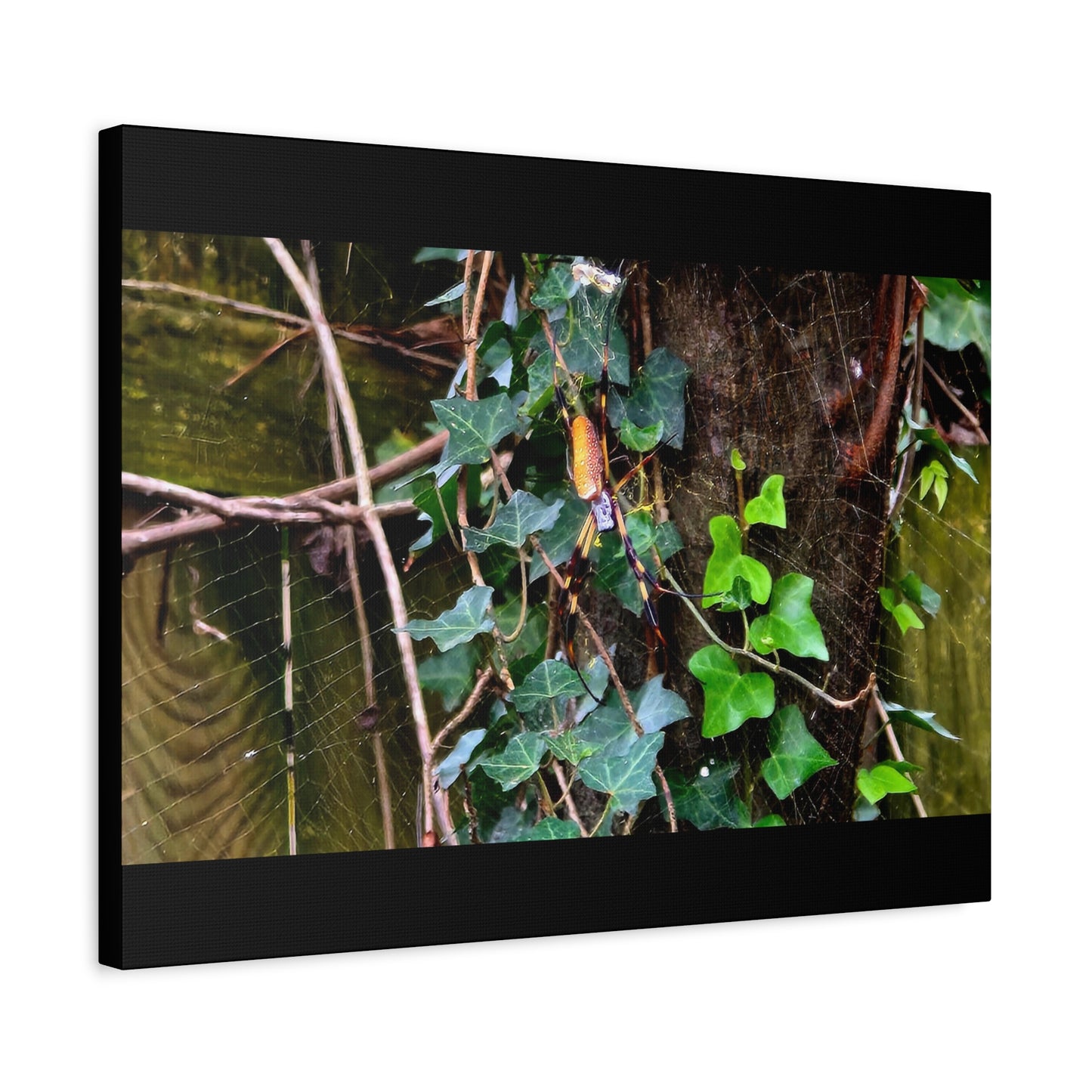 The Patient Huntress