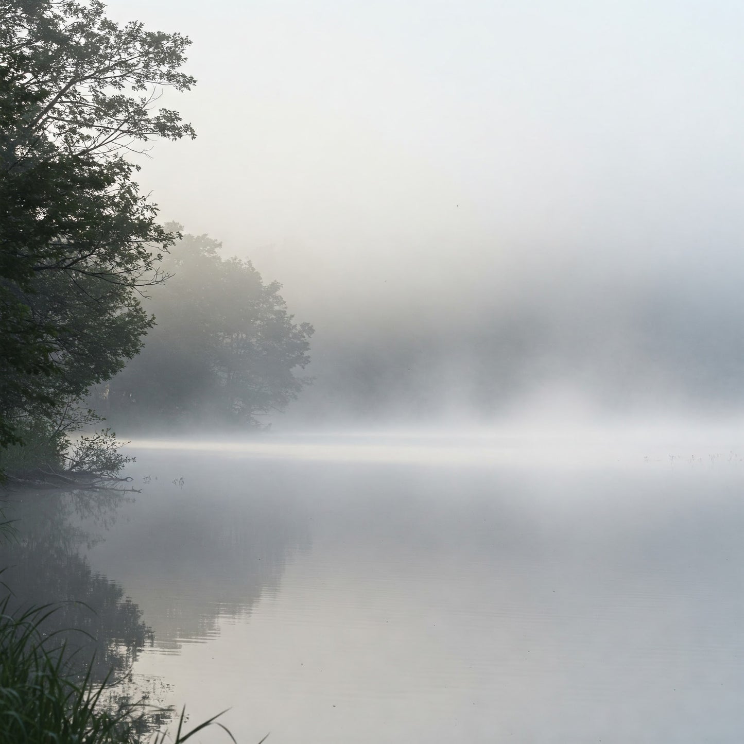40 seconds of Creepy Lake Scene Video