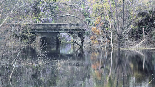 Old Bridge Day to Night Video